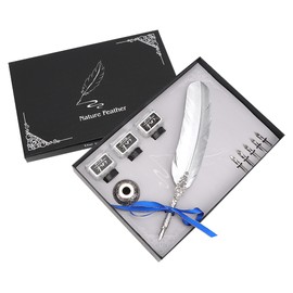 Vintage Classical Fountain Pen Sign Pen Calligraphy Feather Quill Dip Pen Set (#4)