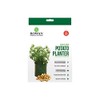 Green Plastic Potato Planter (35cm x 45cm) 1 Piece -