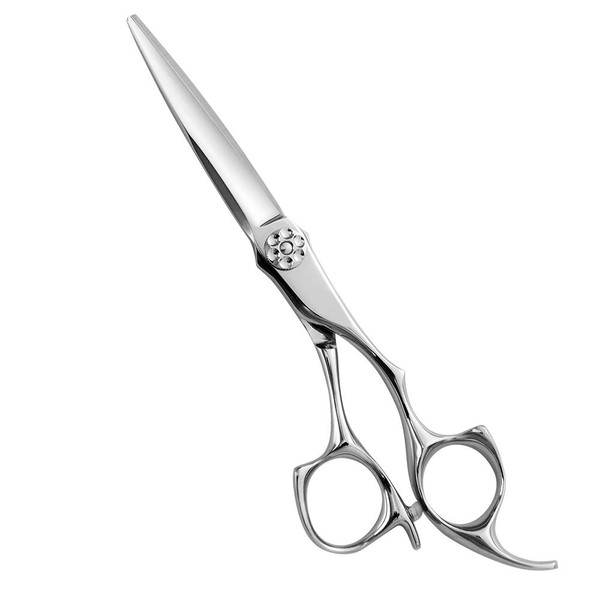 AOLANDUO 6 Inch Pro Hair Scissor -High End Aichi Steel Handmade Hair Cutting Scissor-Razor Edge/Offset Design/Pro Ergonomic for Salon Stylists Beauticians and Barbers