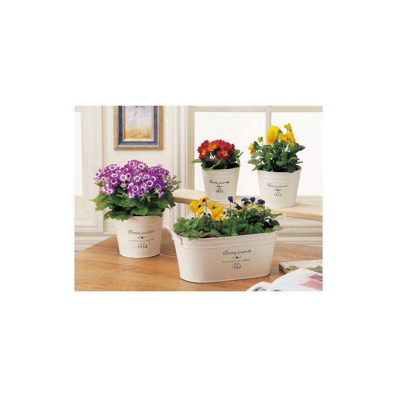 K-E I Green House French Tin Natural Tin Pot Oval