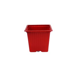 HYDROPLANETE Pots for Seedling – 8 x 8 x 7 cm – Yellow, Green, Red, Purple, Blue, etc. – Made in France – Pack of 24 or 50 – Reusable Plastic Pots for Seedling and Young Plants