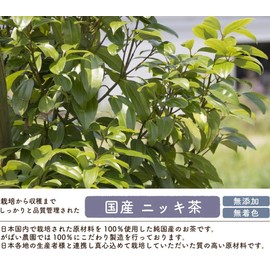 Gabai Farm Domestically Made Nikki Tea 0.07 oz (2 g) x 30 Packets Tea Non-Caffeinated Health Tea Bag Produced in Saga Prefecture