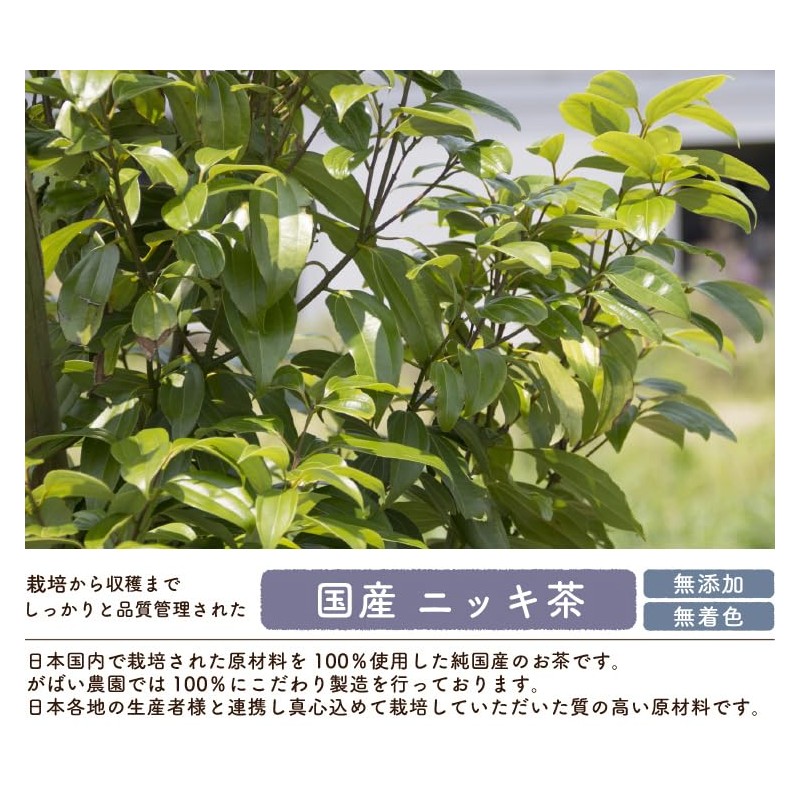 Gabai Farm Domestically Made Nikki Tea 0.07 oz (2 g)