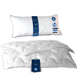 LILENO HOME Duvet 135 x 200 cm Set with Pillow - All-Year Duvet 135 x 200 cm with Pillow 40 x 80 cm as a Set - Blanket and Pillow with Antibacterial Equipment and Boil-Proof up to 95 °C