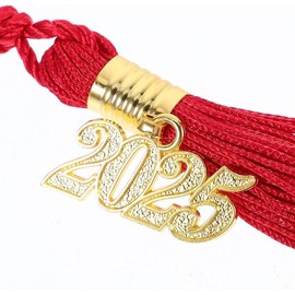 12Pcs 2025Graduation Cap Tassel,Graduation Party Decoration,Party Graduation Gold Tassels,broochAcademicGraduation CeremoniesMulti-Color Tassel Charm (red)