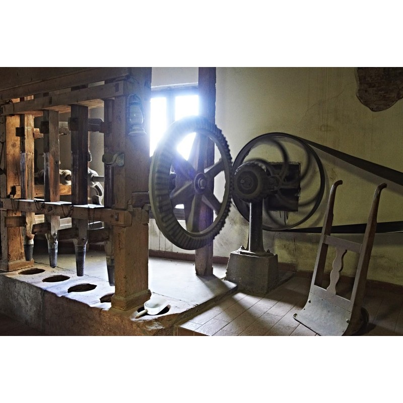 Giuliano Hazan Selection. Giuliano's Classic Carnaroli Rice. 500g (1.1lb)