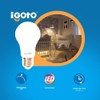 iGoto F3P20107 Pack de 3 Focos 7w A55 Luz Calida