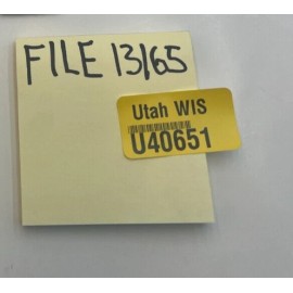 Ms.Queen 4 PACK - Ms. Queen Lash Tweezers for Eyelash Extensions Professional w/Case