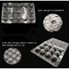 Custom Quail Egg Cartons - Small Egg Holders for Countertop,