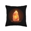 Cool Himalayan salt lamp Throw Pillow