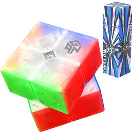GAN 251 Leap UV (10th Version) 2x2 Magic Cube Magnetic Speed Cube GAN251 Leap Magic Puzzle Stickerless 2x2x2 Goose Cubes