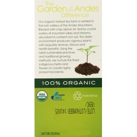 Garden of the Andes Herbal Organic Caffeine Green Hot Tea Bags, 0.9 oz, 20 Tea BagCount (Pack of 6 Boxes)
