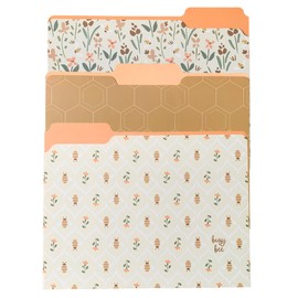 Steel Mill & Co Cute File Folders, Set of 9, Document Organizer for Filing Cabinet, Decorative Letter Size Files, Bees