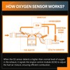 Automost O2 Sensor Upstream and Downstream 2Pcs - Compatible with