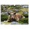 Yaks - on Stony Paths (Wall Calendar 2026 DIN A4