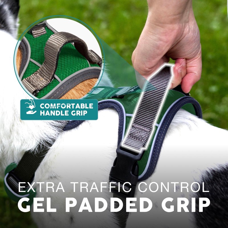 Embark Urban Dog Harness, No-Pull Reflective Trim Dog Harness for