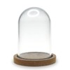 Terrarium Plastic Clear Dome with Wood Base - DIY Crafts