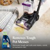 BISSELL 2X Pet Stain & Odor Full Size Machine Formula,