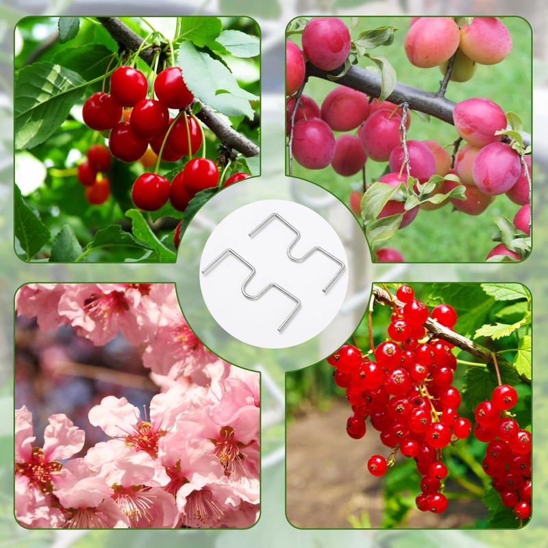 Suynauetev Branch clips for fruit trees