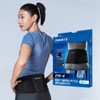 잠스트 허리보호대 ZW-4 Zamst Lower Back Support ZW-4