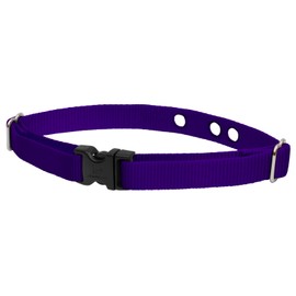 LupinePet Basics 3/4" Purple 16-24" Containment Collar Strap for Medium and Larger Dogs