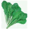 Turnip Green Seeds - Nozawana