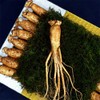Premium Ginseng Gift Set No. 6, Senior Gift, Health Gift