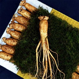 Premium Ginseng Gift Set No. 6, Senior Gift, Health Gift