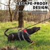 PUPTECK Escape Proof Dog Harness and Leash Set Upgraded No