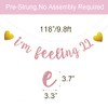 I'm Feeling 22 Banner, Pre-Strung, No Assembly Required, Rose Gold