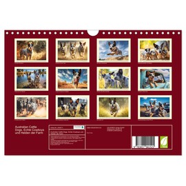 Australian Cattle Dogs. Real Cowboys and Heroes of the Farm (Wall Calendar 2026 DIN A4 Landscape), CALVENDO Monthly Calendar: Australian Cattle Dogs at ... and Life on the Farm (CALVENDO Animals)