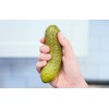 DR DINGUS Fart Pickle Toy - Sings Dill-lightful Musical Yodel