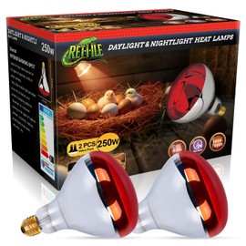 MISDOOD 250W Heat Lamp Red Infrared Bulbs, Flood Light Heat Lamp Bulb for Food Service, Brooder Bulb, Chicks, Pet, Bathroom, Light Therapy Use, Glass, 2 Pack