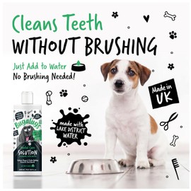 BUGALUGS BUGALUGS Dog Breath Freshener Dental Care Water Additive. Clean Teeth, Healthy Gums & Fresh Breath - Natural Dog plaque remover & tartar remover for teeth - No Brushing Needed