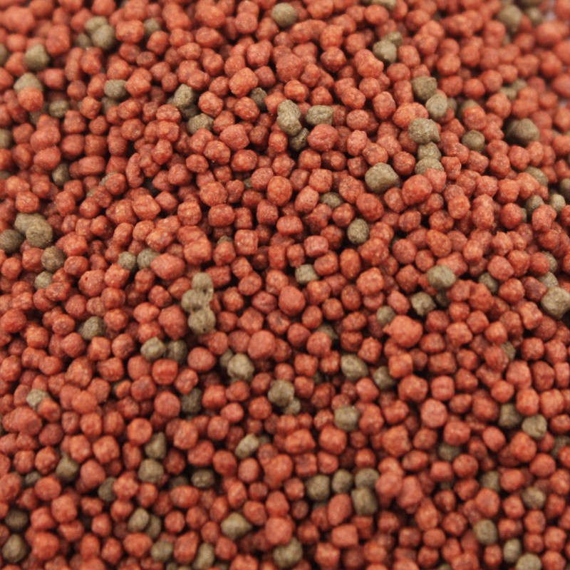 Pisces Pros Betta Bites Fish Food (1 oz)