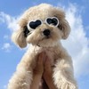 Dog Heart Shaped Goggles Wind-Resistant – Stylish Cute UV Protection