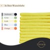 Devior Microfibre Cloths 40 x 40 cm Set of 10
