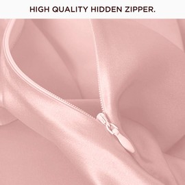 THXSILK Silk Pillowcase 22 Momme 100% Pure Mulberry Natural Soft Breathable Pillow Cover with Hidden Zipper Closure, Standard Size 20"x26",Charming Pink