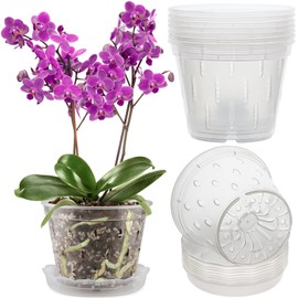Orchid Pot, 8 Pack Orchid Pots with Holes and Saucers, 5.5 Inch Clear Plastic Flower Planters for Repotting Indoor Outdoor, Breathable Slotted Nursery Planter