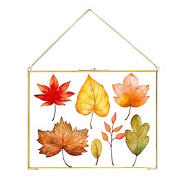 Jajamy Pressed Flower Glass Picture Frame, Glass Brass Photo Frame for DIY Dried Flowers Plant Wall Hanging Decor Display Specimen Gold Vintage Frame Geometric Ornament 8x12 Inches