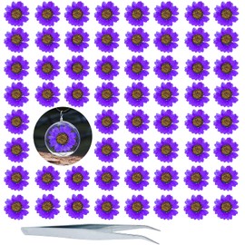 HEISENLIN Dried Pressed Flowers, 60PCS Purple Natural Real Pressed Dried Daisy Flowers, Dry Flowers with Forceps for Scrapbooking DIY Candle Decoration Resin Jewelry Soap Nail Pendant Crafts Making