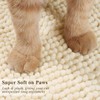 Vivaglory 35"× 25" Extra Large Litter Mat, Super Soft Microfiber