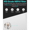 Leemone 411i Max & 411a Max SmokeBlock Replacement Filter Compatible