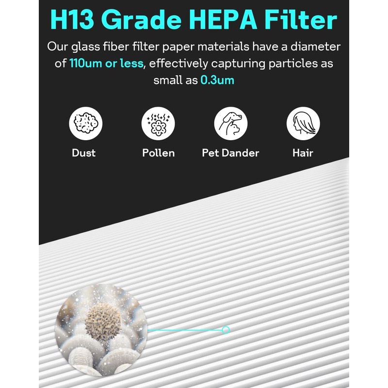Leemone 411i Max & 411a Max SmokeBlock Replacement Filter Compatible