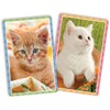 Standard Index Playing Cards - Bridge Size - Kittens