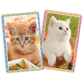 Standard Index Playing Cards - Bridge Size - Kittens