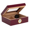 Quality Importers Desktop Humidor, Capri, with Tempered Glasstop, Cedar Divider,