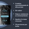 Creatina Monohidratada 350 g Creatina de alta pureza En Polvo