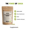 Cupplement - 4 Beutel Chaga Extrakt Kapseln 60 Stück -