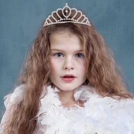 Kilshye Silver Crown Wedding Bridal Tiaras Princess Girl Tiara with Comb Rhinestone Prom Crowns Headband for Women and Girls (C-Silver 2)